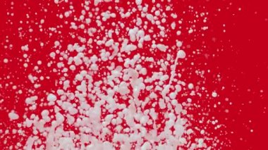 Beyaz süt damlaları yukarı uçar ve kırmızı arka planda farklı yönlere püskürtür. Yapışkan bir süt sıvısının makro çekimi ses titreşimlerinin neden olduğu sıçramalar ve damlacıklar yaratıyor. Ağır çekim. Kapat..