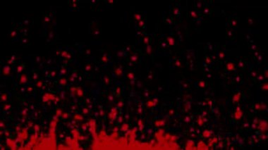 Kırmızı süt damlaları uçar ve siyah arka planda farklı yönlere fışkırır. Yapışkan bir süt sıvısının makro çekimi ses titreşimlerinin neden olduğu sıçramalar ve damlacıklar yaratıyor. Ağır çekim. Kapat..