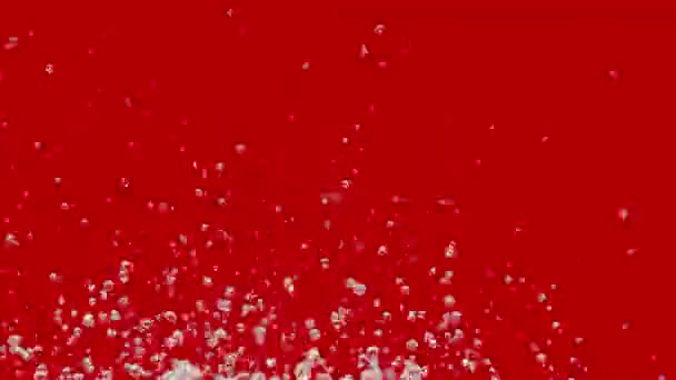 Meerdere druppels water vliegen omhoog en spuiten in verschillende richtingen op rode achtergrond. Macro-opname van een transparante vloeistof die druppels en spatten veroorzaakt door geluidstrillingen creëert. Langzame beweging. Sluiten.. — Stockvideo