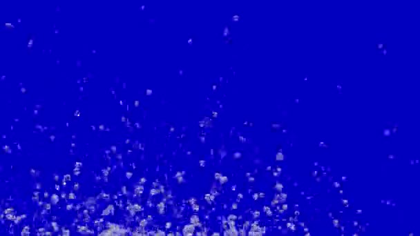 Múltiples gotas de agua vuelan y pulverizan en diferentes direcciones sobre fondo azul. Macro shot de líquido transparente creando gotitas y salpicaduras causadas por vibraciones sonoras. En cámara lenta. De cerca.. — Vídeo de stock