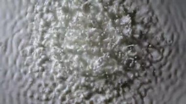 Güçlü titreşimler beyaz süt damlalarını yukarı kaldırır. Hızla değişen titreşimsel dalga yapıları rezonans yaratır ve süt sıvısının yüzeyinde küresel damlalar asılı kalır. Ağır çekim. Kapat..