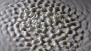 Güçlü titreşimler beyaz süt damlalarını yukarı kaldırır. Hızla değişen titreşimsel dalga yapıları rezonans yaratır ve süt sıvısının yüzeyinde küresel damlalar asılı kalır. Ağır çekim. Kapat..