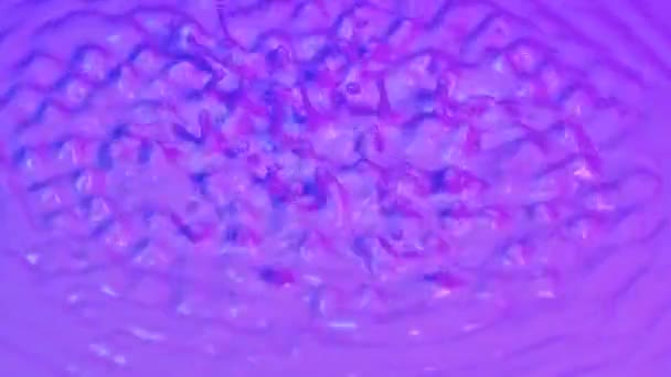 Forte vibration soulève gouttes de lait avec une teinte bleue rose vers le haut. Les structures d'ondes vibrationnelles qui changent rapidement créent une résonance et les gouttes sont suspendues à la surface du liquide laitier. Au ralenti. Gros plan. — Video