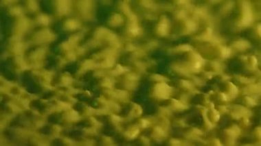 Makro çekim, titreşen küresel sarı süt damlaları. Güçlü titreşimler damlacıkları yukarı doğru kaldırır. Titreşen süt yüzeyinde yoğun sıçrama ve düşüş hareketleri. Ağır çekim. Kapat..