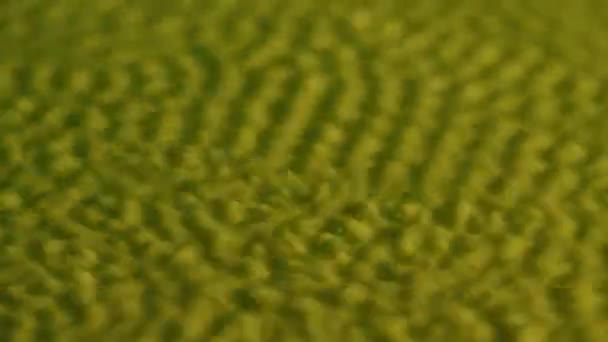 Vibration and resonance. Distribution of sound waves on the yellow surface of milk. Droplets and ripples of milky fluid when excited by vibration at different frequencies. Slow motion. Close up. — Stock Video