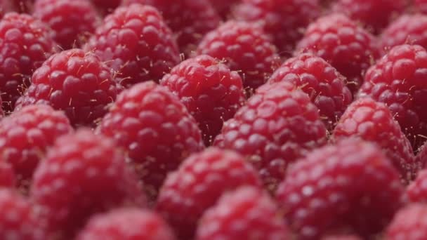Close up the rotation raspberries. Fresh, juicy raspberry background, ripe vitamin fruits. Macro red raspberry fruit. Fresh raspberries as a food background. Healthy food, organic food. — Stock Video