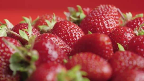 Fraises mûres juteuses recouvertes de gouttelettes d'eau tourner de près. Baies douces d'été avec des queues vertes sur un fond rouge. Alimentation végétalienne biologique saine. Vitamine fruits sains. — Video