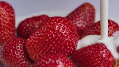 Krema ya da yoğurdu sulu taze çileklerin üzerine dök. Beyaz süt sıvısıyla kaplı tatlı kırmızı böğürtlenler. Vitaminli sağlıklı tatlı, sağlıklı yemek. Kapatın. Yavaş çekim.