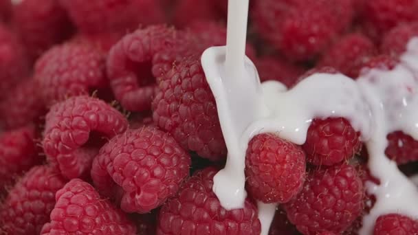 Выливание сочной свежей малины в сливки или йогурт. Сладкие красные ягоды покрыты белой молочной жидкостью. Витамин полезный десерт. Красивый фон аппетитной еды. Закрывай. Медленное движение. — стоковое видео