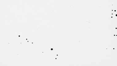 Beyaz yüzeyine siyah boya damlatıyor. Mürekkep damlatıyor. Boya dökülüyor. Boya efektli grafiksel duvar kağıdı. Beyaz arka planda lekeler var. Sanat minimalizmi. Kapatın. Yavaş çekim.