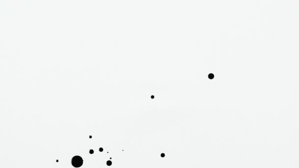 Goteo extiende pintura negra con gotas salpicaduras sobre fondo blanco de cerca. Fondo creativo abstracto. Gotas aisladas negras goteando de spray a la superficie en cámara lenta. — Vídeo de stock