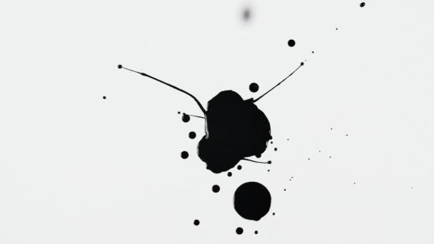 Dripping espalha tinta preta com salpicos gotas no fundo branco de perto. Fundo criativo abstrato. Gotas isoladas pretas pingando de spray para superfície em câmera lenta. — Vídeo de Stock