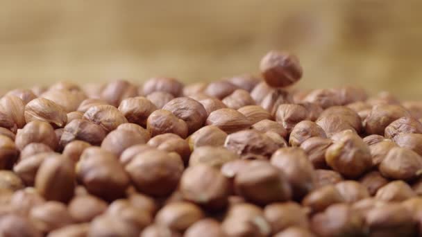 Noisettes tournantes séchées. Les grains bruns tombent sur une pile de noix pelées. Aliments biologiques sains de fond. Ferme là. Mouvement lent. — Video
