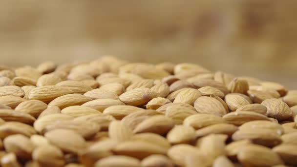 Amandes rotatives séchées. Les grains bruns tombent sur une pile de noix pelées. Aliments biologiques sains de fond. Ferme là. Mouvement lent. — Video