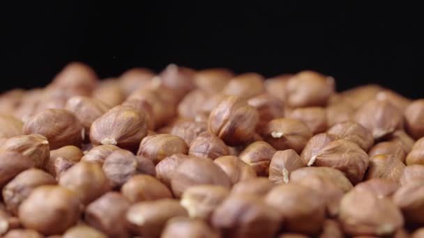 Un puñado de avellanas secas rotan sobre fondo negro. La avellana marrón cae sobre una pila de nueces peladas. Núcleos de deliciosas nueces saludables de cerca. Fondo de alimentos orgánicos saludables. Movimiento lento. — Vídeos de Stock