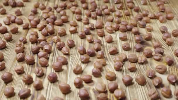 Plan coulissant de noisettes séchées couchées sur une surface de table en bois texturé. Fermer noisette grains bruns entiers sont dispersés sur la table. Aliments biologiques sains de fond. Ralenti prêt 59.94fps. — Video