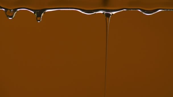 Drops of organic natural honey on a dark brown studio background. Pouring honey, flowing liquid sugar syrup, flower nectar. Slow motion of dripping honey. Curative ingredient. Close up. Slow motion. — Stock Video