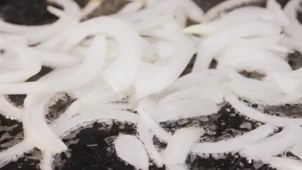 Cebolas brancas fatiadas estão fritando em uma panela quente com óleo. Macro tiro de cozinhar cebolas fritas em uma panela de ato de fritar. Preparando legumes para cozinhar o jantar. Fecha. Movimento lento. — Vídeo de Stock