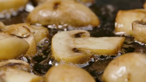 As partes douradas de champinhons fritam-se em uma panela quente com o óleo de perto. Polvilhe os cogumelos cozidos com tempero. Preparando legumes para cozinhar o jantar. Movimento lento. — Vídeo de Stock