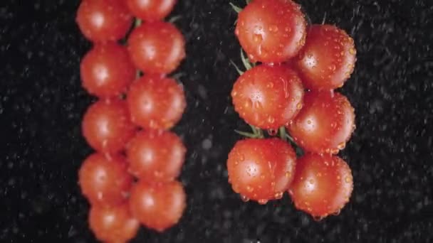 Kırmızı olgun domatesler, damlacıklarla sulanan süper yavaş çekimde kümelenirler. Üzerine su serpilmiş bir avuç ıslak domates. Hafif stüdyo ışıklandırmasında siyah arkaplan. Taze domatesli kiraz görüntüsü. Kapat.. — Stok video