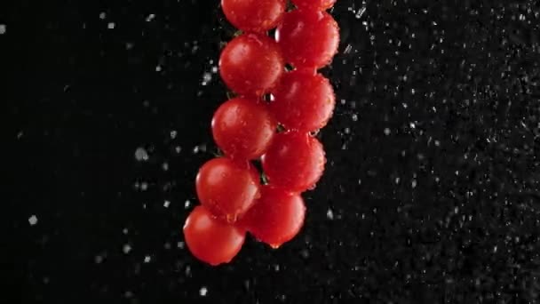 Juicy racimo maduro de tomates rojos rociados con agua. Fondo negro en iluminación de estudio suave. Verduras húmedas ecológicas en gotas de agua. Producto agrícola saludable. De cerca. Movimiento lento. — Vídeo de stock