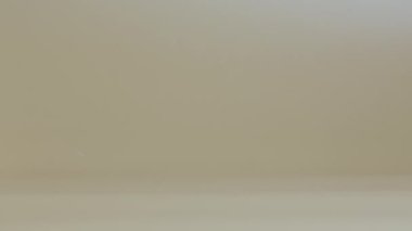 Stüdyoda bej arka planda karton kutulu bir kaplumbağa profili. Egzotik bir sürüngen bayram hediyesi getirdi. Hayvanlar alemindeki otçul bir hayvanın portresi. Kapatın. Yavaş çekim.