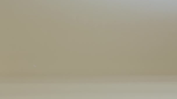 Perfil de una tortuga con una caja de cartón sobre una concha sobre un fondo beige en el estudio. Un reptil exótico entrega un regalo de vacaciones. Retrato de una mascota herbívora, mundo animal. De cerca. Movimiento lento. — Vídeos de Stock