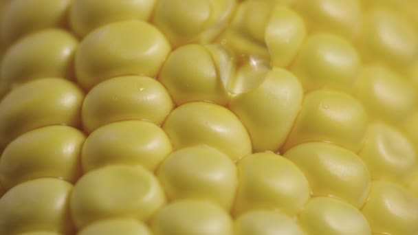 Macro de granos de maíz amarillo maduros en fila a lo largo de los cuales fluye el goteo de miel viscosa gruesa o aceite. El néctar dulce envuelve mazorca dorada de maíz fresco. De cerca. Cámara lenta lista, 4K a 59.94fps. — Vídeos de Stock