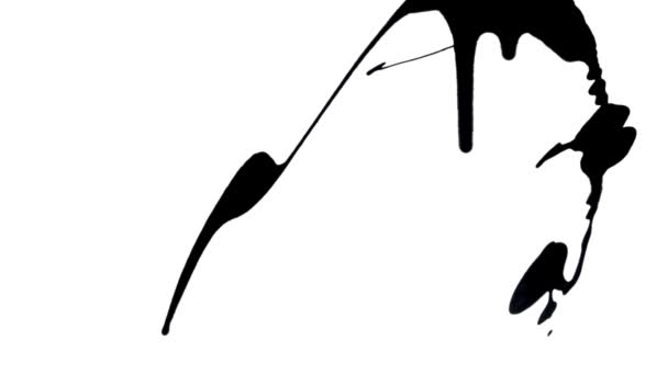 ブラックペイントは、抽象的な塊、滴や滴を形成する白い背景に飛び散っています。芸術的なインクスプラッタ。こぼれた黒い水彩画の効果を持つグラフィック壁紙。閉めろ。スローモーション準備59.94fps — ストック動画