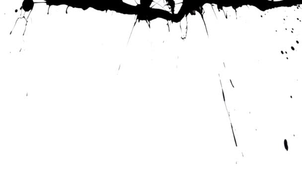 Pintura negra salpica sobre fondo blanco formando manchas abstractas, gotas y gotas. Salpicaduras de tinta artística. Papel pintado gráfico con efecto de acuarela negra derramada. De cerca. Cámara lenta lista 59.94fps — Vídeos de Stock