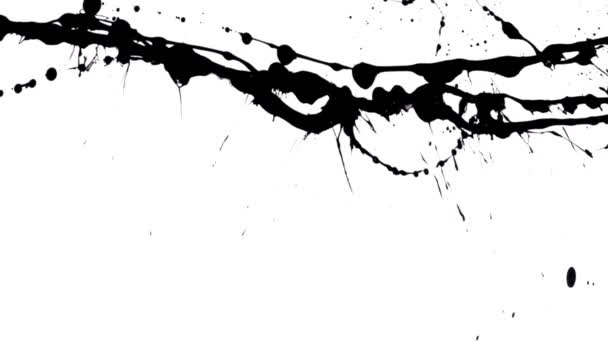 Droppande sprider svart färg med stänk droppar på vit bakgrund närbild. Akvarell blöder, blommar, droppar. Grafisk tapet med spillt bläck effekt på vitt papper. Slow motion klar 59,94fps. — Stockvideo