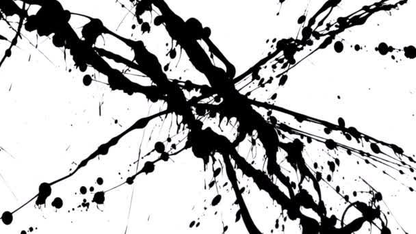 Dripping espalha tinta preta com salpicos gotas no fundo branco de perto. Sangramento aquarela, flor, gotas. Papel de parede gráfico com efeito de tinta derramada no papel branco. Movimento lento pronto 59.94fps. — Vídeo de Stock