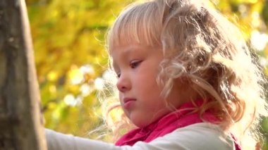 Sonbahar ormanında elinde bir ağaçla tatlı küçük bir kız yürüyor. Pembe yelek giymiş kıvırcık sarı saçlı çocuk güneşli ve sıcak bir sonbahar gününde parkın arka planında bulanık duruyor. Ağır çekim. Kapat..