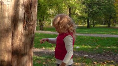 Sonbahar ormanında elinde bir ağaçla tatlı küçük bir kız yürüyor. Güneşli ve sıcak bir sonbahar gününde, parkın arka planında pembe yelekli kıvırcık sarı saçlı çocuk. Ağır çekim. Kapat..
