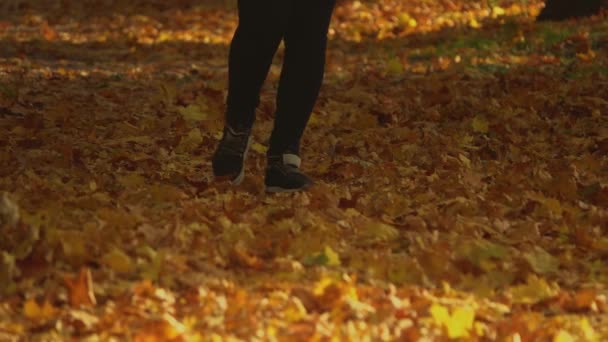 Caminando sobre hojas doradas y caídas en el parque de otoño. Primer plano de las piernas femeninas caminando sobre una alfombra de hojas amarillas. Fondo de pantalla de la naturaleza, hermoso paisaje, fondo de otoño. En cámara lenta. De cerca.. — Vídeo de stock