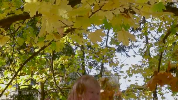 На фоне голубого неба и золотых листьев взлетает маленькая счастливая девочка. Семья отдыхает на свежем воздухе в осеннем парке и бросает ребенка. Медленное движение. Закрыть. — стоковое видео