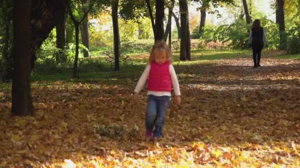 Маленька дівчинка ходить по золотому опалому листю в осінньому парку в сонячний день. Сімейні вихідні на відкритому повітрі. Шпалери для природи, красивий пейзаж, осінній фон. Повільний рух. крупним планом . — стокове відео