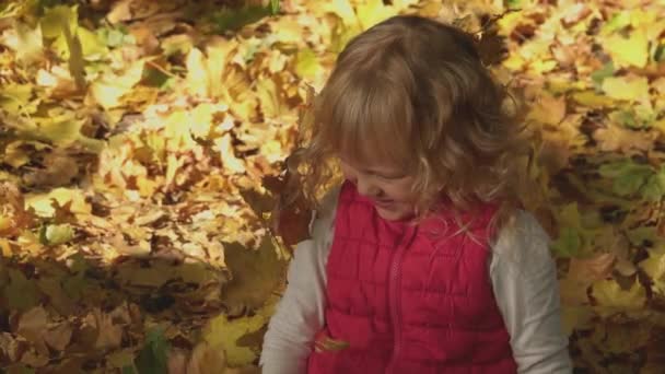 Porträt eines kleinen lächelnden Mädchens mit fallenden Ahornblättern über dem Kopf. Gelbe abgefallene Blätter, Herbstpark, sonnig warmer Tag. Familienwochenende im Freien. Zeitlupe. Nahaufnahme. — Stockvideo