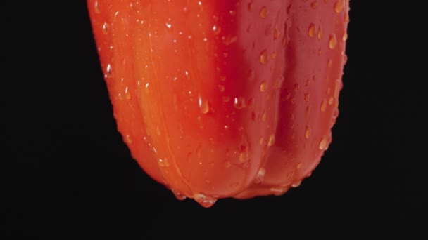 红色钟椒底部的滴水滴在黑色工作室的背景。一种有水滴的成熟蔬菜的大头照.部分框架，素食餐厅。靠近点慢动作. — 图库视频影像