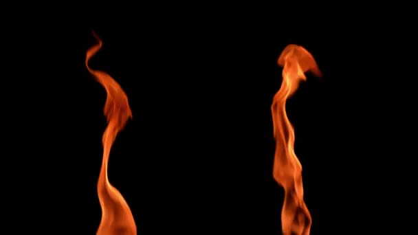 Twee oranje vlammen in slow motion op een zwarte achtergrond. Brander brandt en brandt met hoog vuur. Vurige vlammen van dichtbij, vuurpatronen van de vlam van een kaars. Glow of fire in the dark met kopieerruimte — Stockvideo