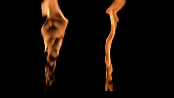 두 개의 고립된 화재, 느린 운동 가스 점 화, 그리고 검은 배경의 고속 화염방사기. 불이붙고, 타고, 어둠 속으로 꺼진다. 불을 다 덮으면. — 비디오