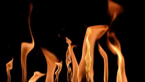 Sada oranžových plamenů ve zpomaleném filmu na černém pozadí. Hořák hoří a hoří vysokým ohněm. Ohnivé plameny zblízka, ohnivé obrazce. Záře ohně ve tmě s kopírovacím prostorem. — Stock video