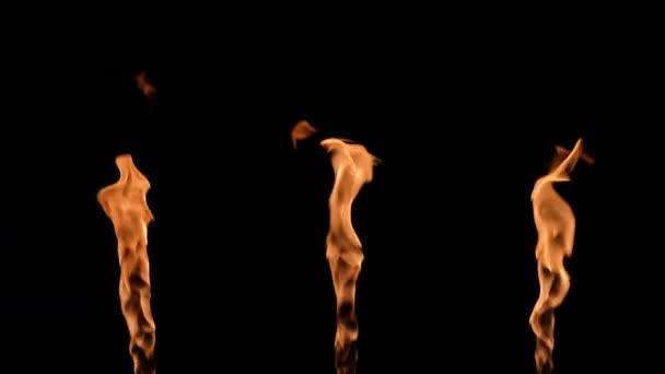 Three flames alternately light up and glow an orange yellow fire against black background. Real bonfire, burner or torch flares up in the dark. Fire glow, dangerous blazing fire close up. Slow motion. — Stock Video