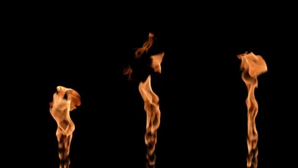 Trois flammes s'allument alternativement et allument un feu jaune orangé sur fond noir. Un vrai feu de joie, un brûleur ou une torche s'allume dans le noir. Le feu s'embrase, le feu s'embrase. Mouvement lent. — Video