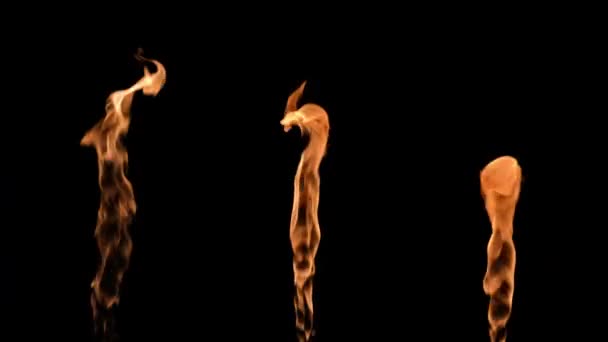 Tre flammer skiftevis lyse op og gløde en orange gul brand mod sort baggrund. Rigtig bål, brænder eller fakkel blusser op i mørket. Brand glød, farlig flammende ild tæt på. Langsom bevægelse. – Stock-video