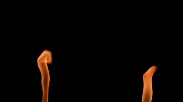 黒い背景にオレンジ色の黄色の火で2つの高い炎が点火し、輝きます。本当のたき火、バーナーやトーチは暗闇の中でフレアアップ。火の輝き、危険な燃える火を閉じます。スローモーション. — ストック動画