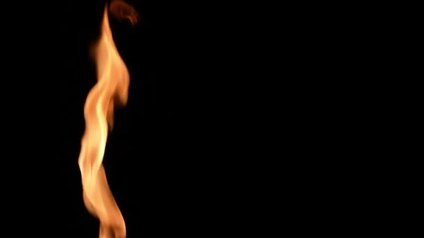 Twee vlammen steken afwisselend een oranje geel vuur op tegen zwarte achtergrond. Echt vreugdevuur, brander of fakkel brandt op in het donker. Vuur gloeit, gevaarlijk laaiend vuur van dichtbij. Langzame beweging. — Stockvideo