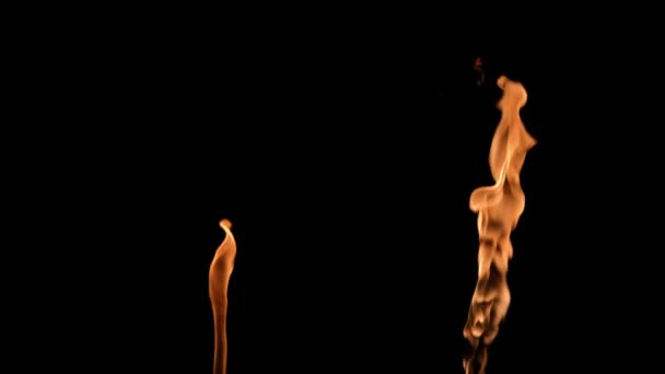 Δύο φλόγες ανάβουν εναλλάξ και ανάβουν μια πορτοκαλί κίτρινη φωτιά σε μαύρο φόντο. Αληθινή φωτιά, καυστήρας ή πυρσός φουντώνει στο σκοτάδι. Φωτιά, επικίνδυνη φωτιά από κοντά. Αργή κίνηση. — Αρχείο Βίντεο
