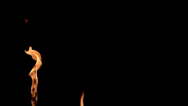 Tres llamas alternativamente se encienden y resplandecen un fuego amarillo anaranjado contra el fondo negro. Fogata real, quemador o antorcha se enciende en la oscuridad. Fuego resplandor, fuego ardiente peligroso de cerca. Movimiento lento. — Vídeo de stock