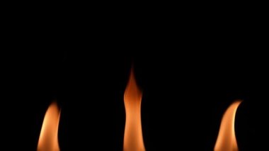 Karanlıkta izole edilmiş gerçek bir ateş alevi. Siyah arka planda turuncu alevler parlıyor. Üç yanan ışık sıcak bir parıltı yaratır. Mum ya da ocağın alevi yavaş çekimde parlar.